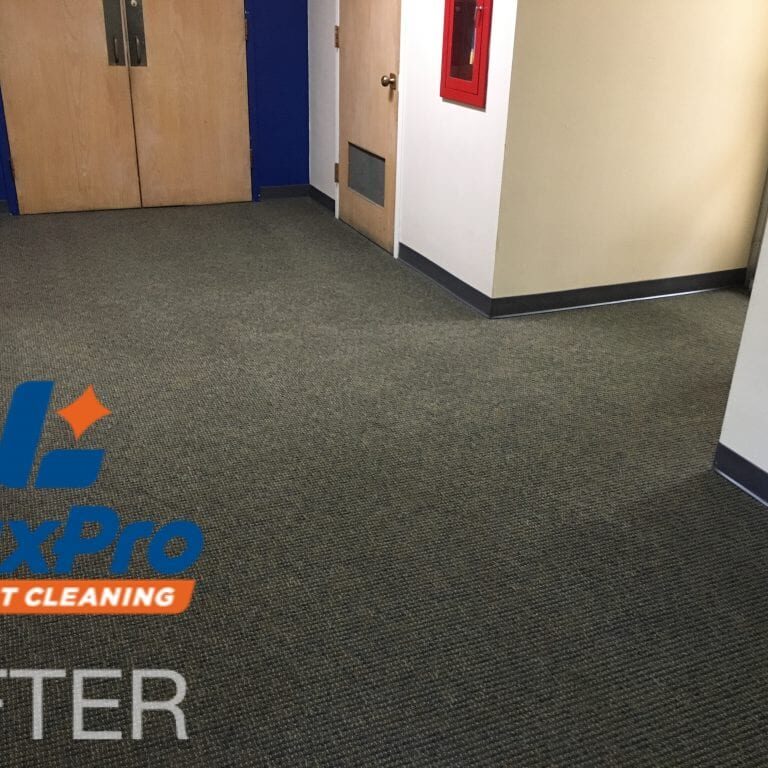 Commercial Carpet Cleaning In Niota & Cleveland, TN