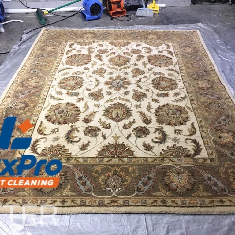 Rug Cleaning In Niota, TN & Cleveland, TN