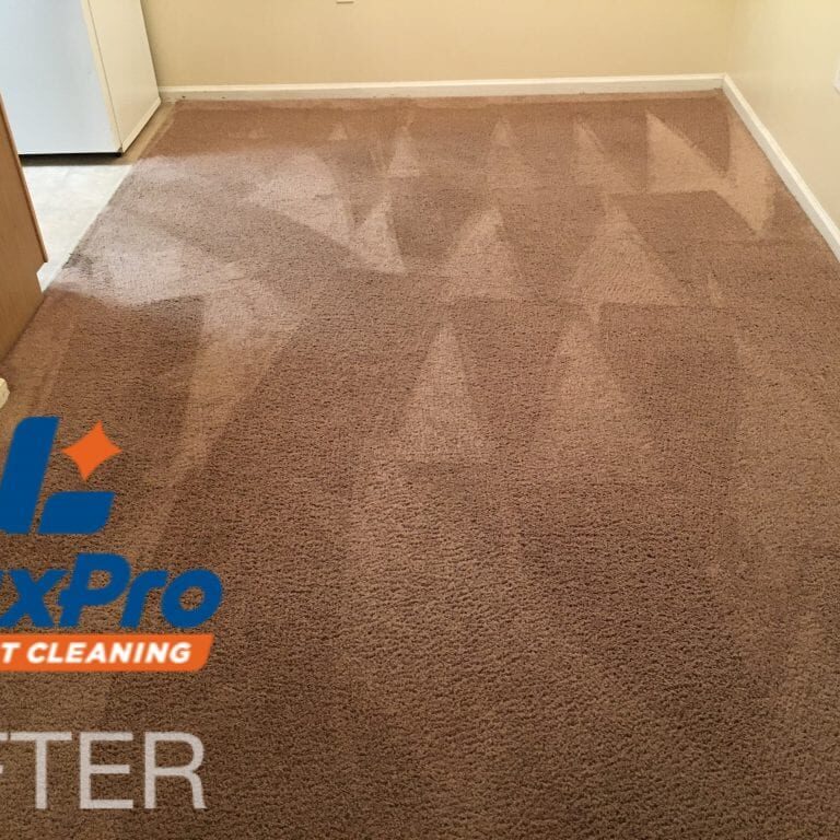 After Carpet Cleaning In Niota & Cleveland, TN